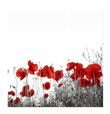 Douchegordijn 180x200